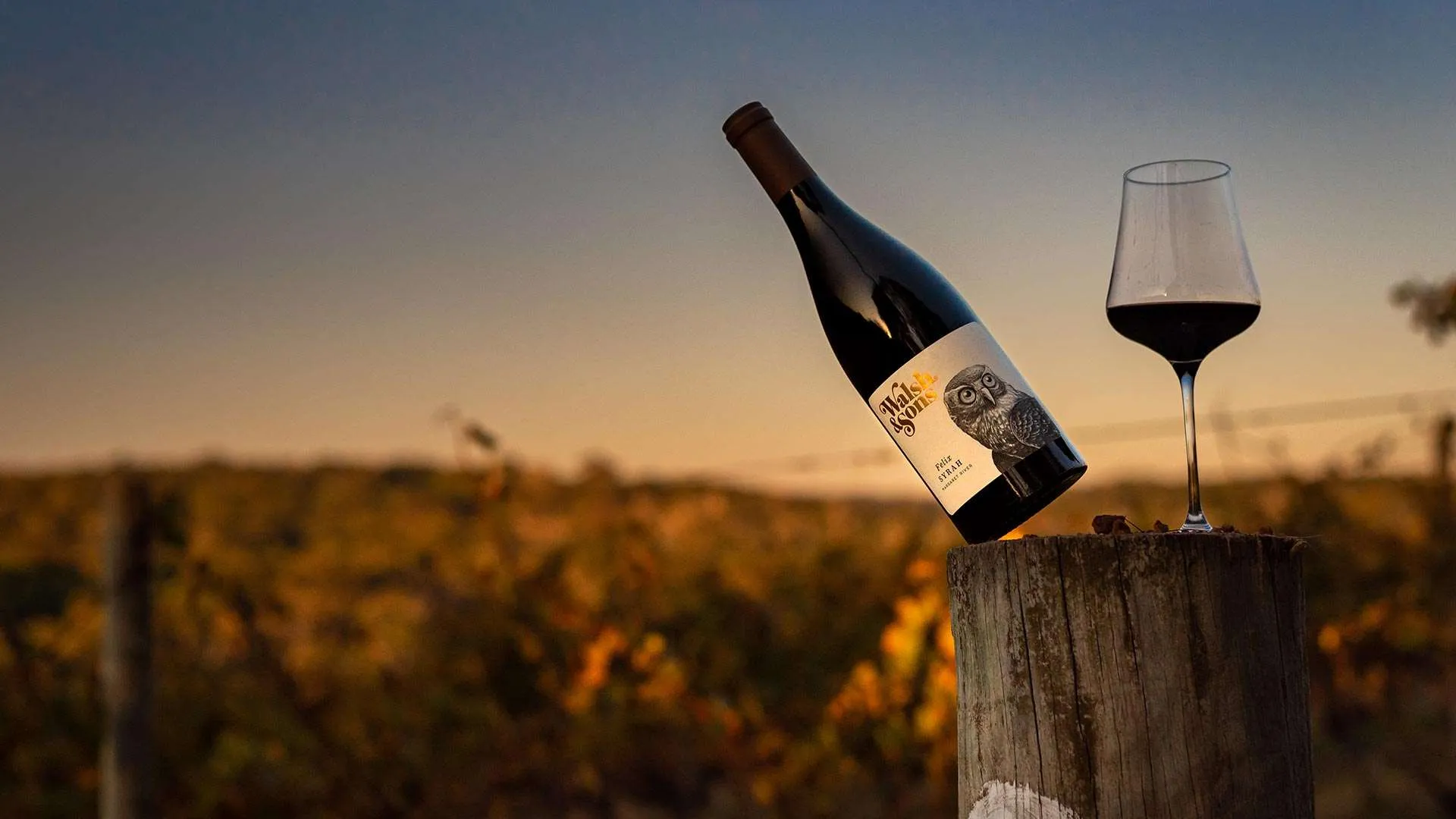 Taylor Sales Store -Taylor Sales Store Syrah Hero 1